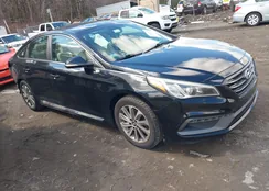 5NPE34AF7FH122261: 44662505