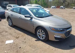 1G1ZD5ST6SF141129: 44663192