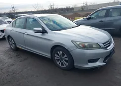 1HGCR2F37DA069558: 44665089