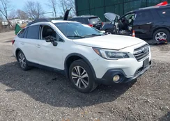 4S4BSENC4K3267139: 44666100