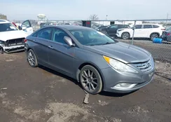 5NPEC4AB8DH796851: 44675861