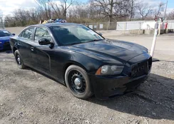 2C3CDXKT7EH351206: 44680181