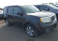 5FNYF4H59DB080236: 44684320