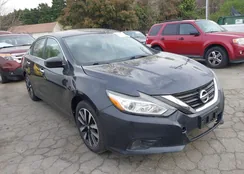 1N4AL3AP6JC206664: 44686247