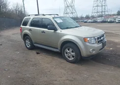 1FMCU0D76BKA75636: 44687859