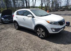 KNDPCCA20D7528979: 44688695