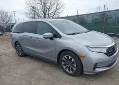 5FNRL6H71MB019022: 44705673