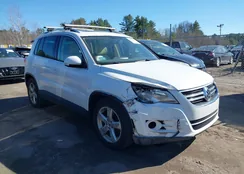 WVGBV7AX4AW538161: 44707066