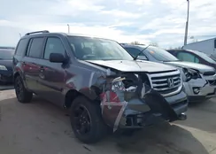 5FNYF4H21DB062190: 44708429