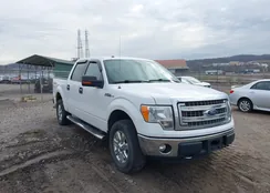 1FTFW1EF6EKG44500: 44712177