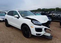 WP1AB2A20HLA51937: 49794890