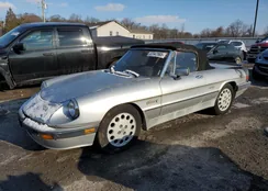 ZARBA5419G1040612: 42347965