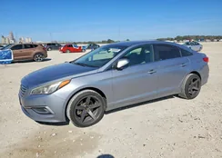 5NPE24AF2GH377016: 73499305