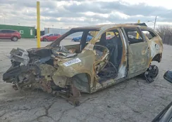 1GNKVGED2BJ244834: 73062845