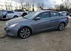 5NPEC4AB8DH780875: 99119925