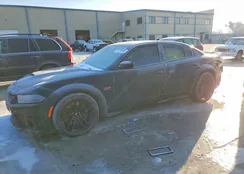 2C3CDXGJ6PH673491: 74246085