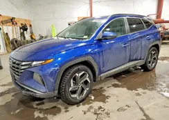 5NMJFCAE2PH220121: 96809685