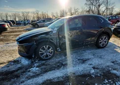 3MVDMBDM0MM219444: 74343985