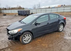 KNAFX4A66E5216670: 72658845