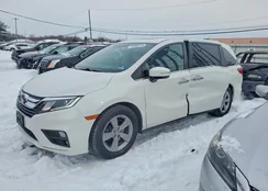 5FNRL6H71LB016796: 73895275