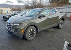 5NTJBDDE6SH126964: 98689505