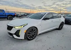 1G6DP5RK7P0119370: 98912385