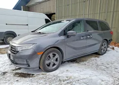 5FNRL6H52NB011284: 99343785