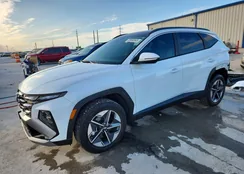 KM8JCDD19SU335254: 72958565