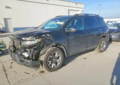 5FNYF8H69PB026794: 72937625