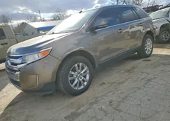 2FMDK3KC7EBB56834: 73716905