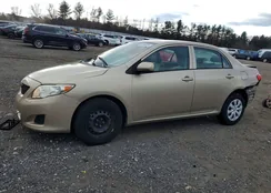 2T1BU4EE1AC282990: 99740075