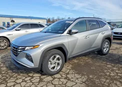 5NMJBCAE1PH243000: 74336465