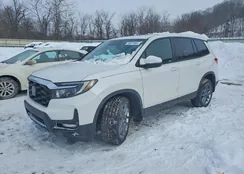 5FNYF8H54PB007710: 74611045