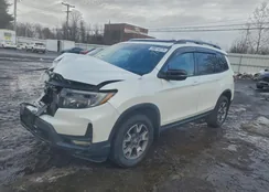 5FNYF8H69NB015131: 99814075