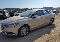 3FA6P0LUXHR250237: 99645815