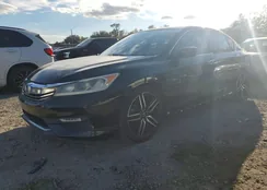 1HGCR2F50GA017596: 73639525