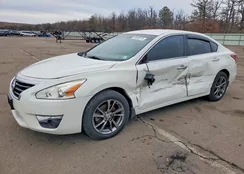 1N4AL3AP6DN532697: 99930375