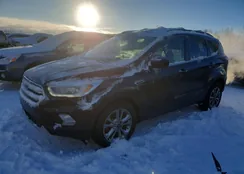 1FMCU0GD9HUA79341: 74642945