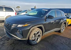 KM8JBDD28RU153339: 99800995