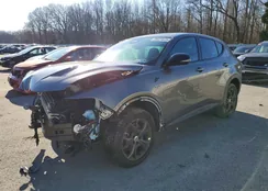 ZACNDFAN2R3A37945: 99029825