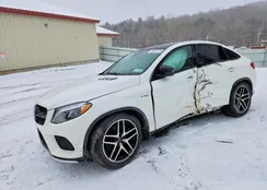 4JGED6EB4KA151925: 73981075