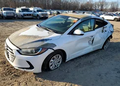 5NPD74LF5HH141553: 72948605