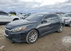 1G11C5SL1FF138614: 72428615