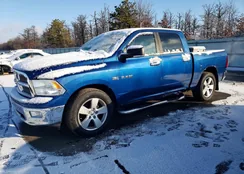 1D7RV1CT7AS239092: 73704025