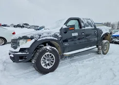 1FTFW1R65BFB71137: 73601965