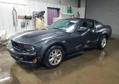 1ZVFT80N075292514: 76207875