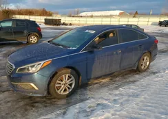 5NPE24AF3GH316077: 73629925