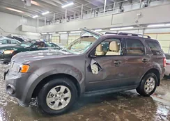 1FMCU9EG4BKA81633: 74430305