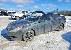 5NPEC4AB4BH218081: 73864905