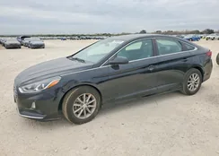 5NPE24AFXKH797681: 72665915